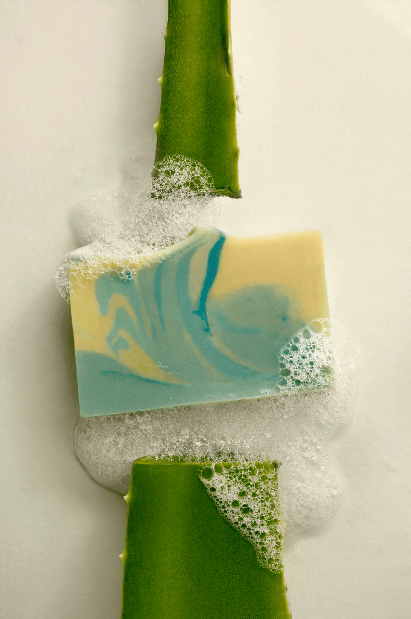 aloe vera plant in french Aloe Vera & French Clay Bar
