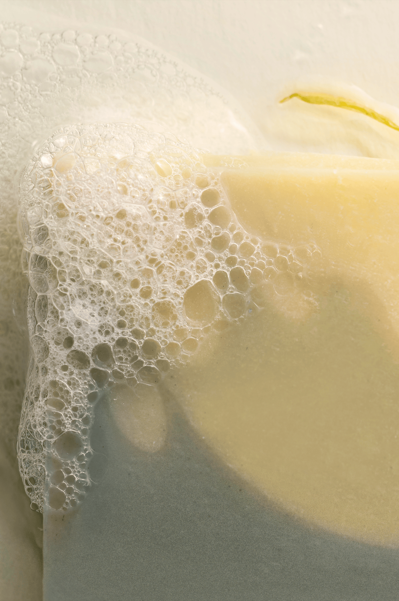 Indigo & Calendula Bar