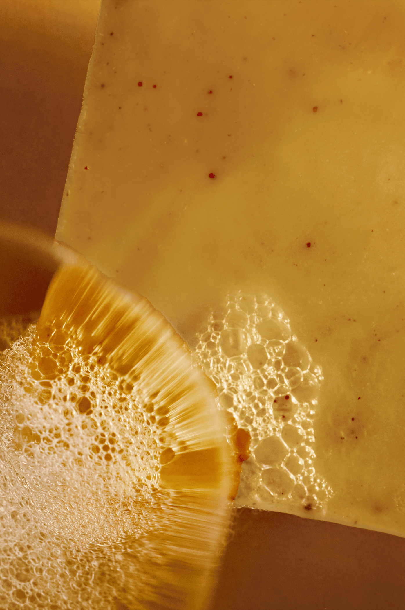 Turmeric & Frankincense | Donkey Milk & Argan Oil